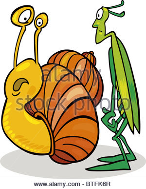 300x387 Insect Illustration Snail Grasshopper Cricket Cartoon Comics Talk