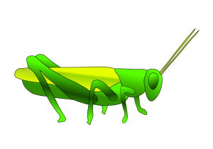 300x210 Grasshopper Clip Art Download