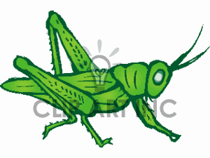 300x225 Grasshopper Clipart Disney