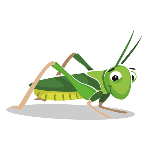 512x512 Grasshopper Clipart Transparent