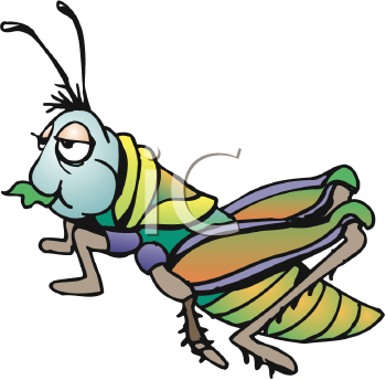 350x344 Royalty Free Cricket Clip Art, Insect Clipart