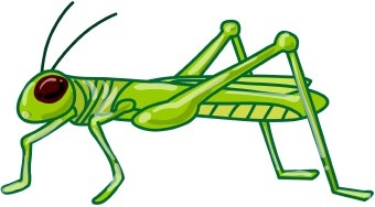 Grasshoppers Clipart | Free download on ClipArtMag