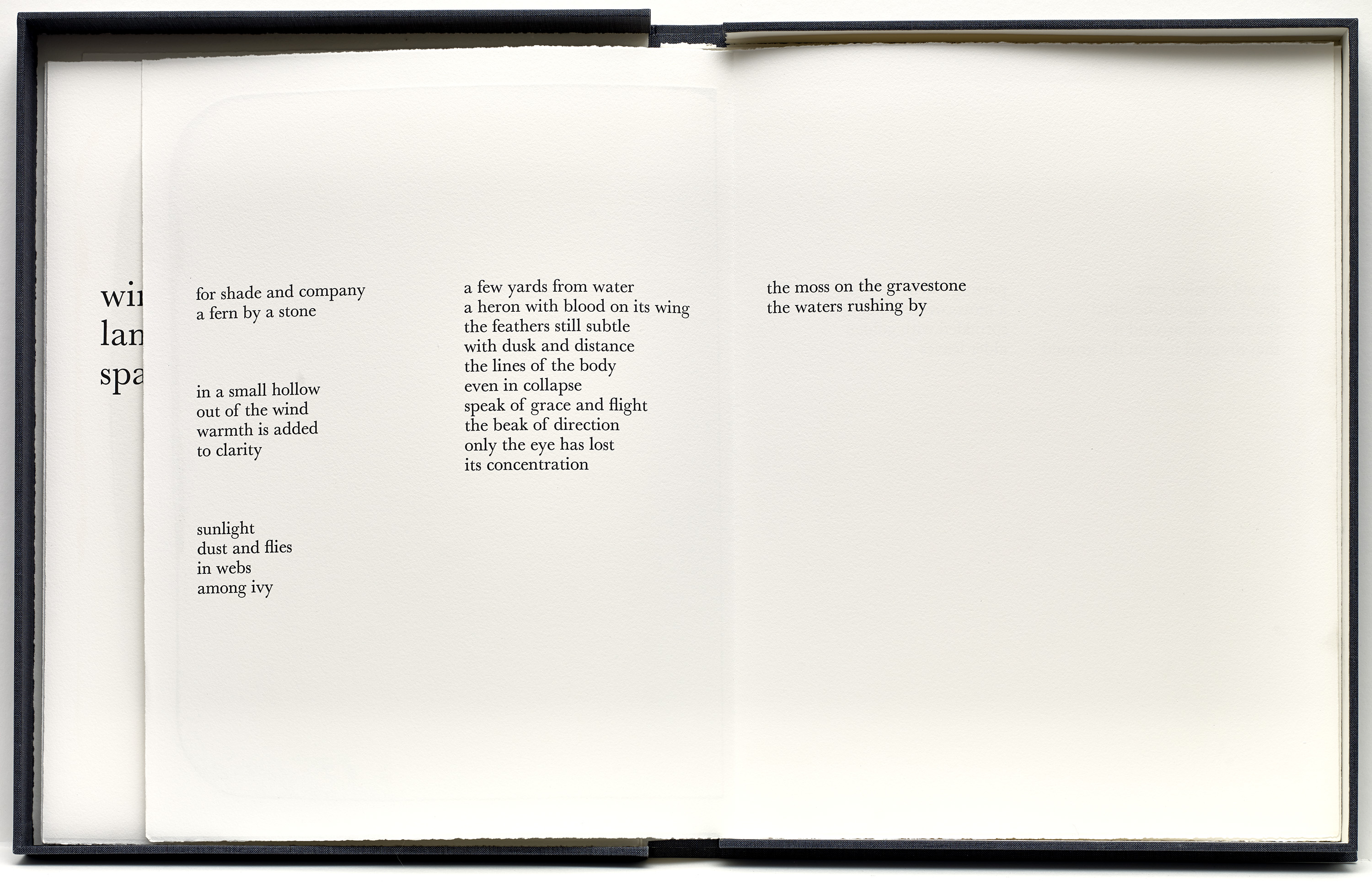 3000x1929 That Which Appears By Ian Mckeever