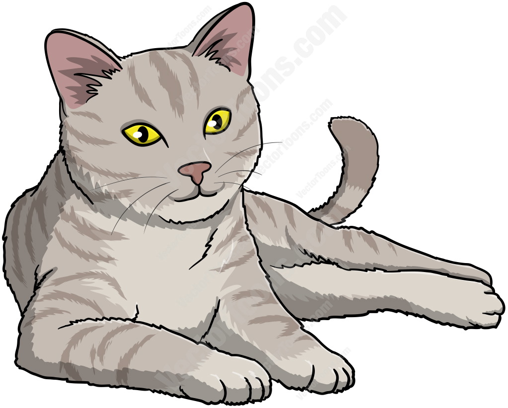 1023x822 Feline Clipart Gray Cat