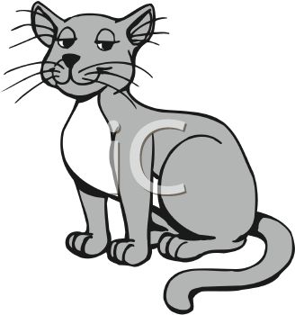 328x350 Gray And White Farm Cat