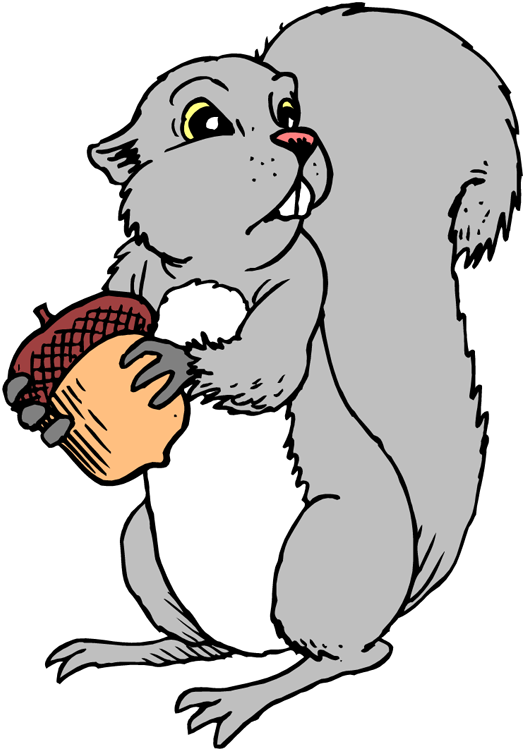 528x750 Gray Squirrel Clipart Cartoon