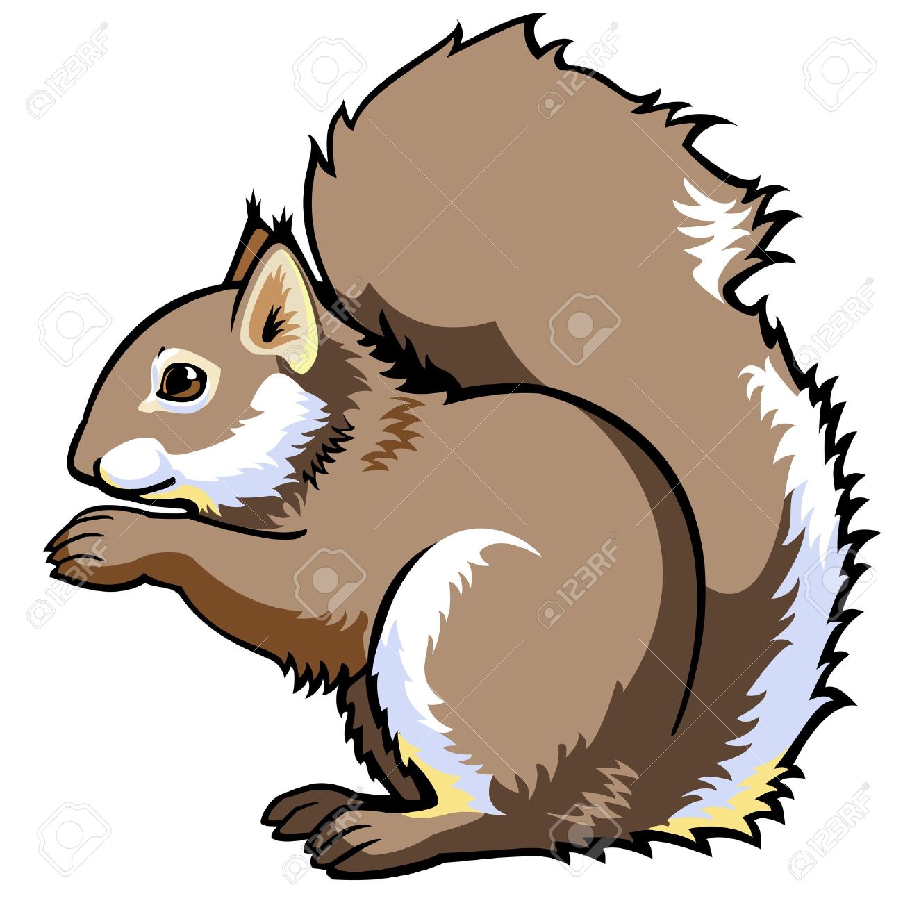 1300x1300 Gray Squirrel Clipart Squirell