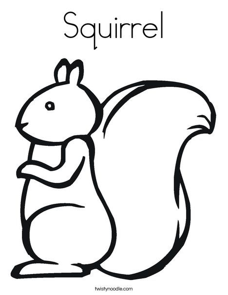 468x605 87 Best Squirrel Images Toddler Activities