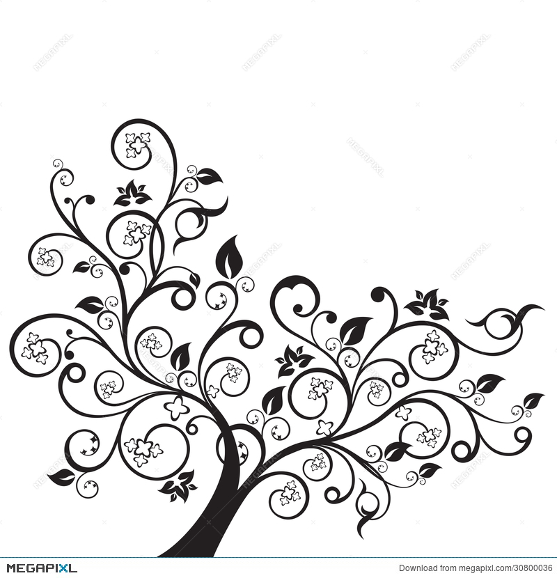 800x830 Flowers And Swirls Design Element Silhouette Illustration 30800036