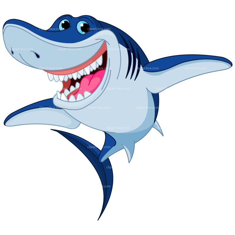 800x800 Animated Shark Clipart