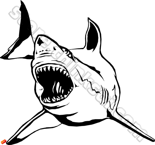 540x504 Sai Store Sai Clip Art