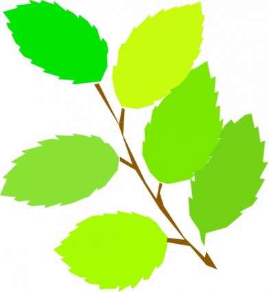 392x425 Apple Clipart Vine