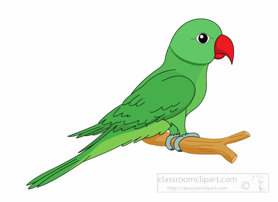 550x400 Red And Green Macaw Clipart Black And White
