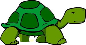300x159 Green Turtle Clip Art