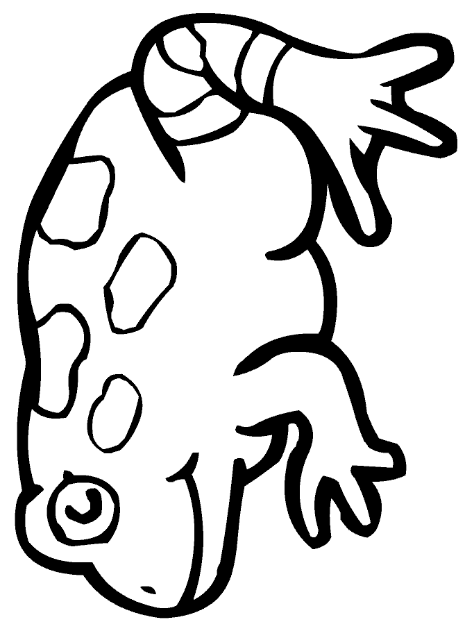 670x909 Green Frog Coloring Activity For Older Kids Amara's 1st