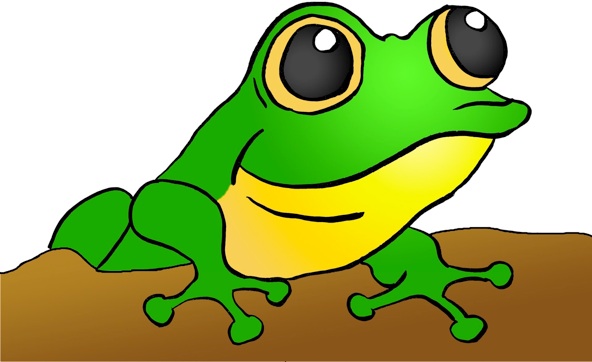 592x362 Pictures Of Frog