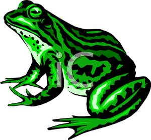 300x279 Sitting Green Frog