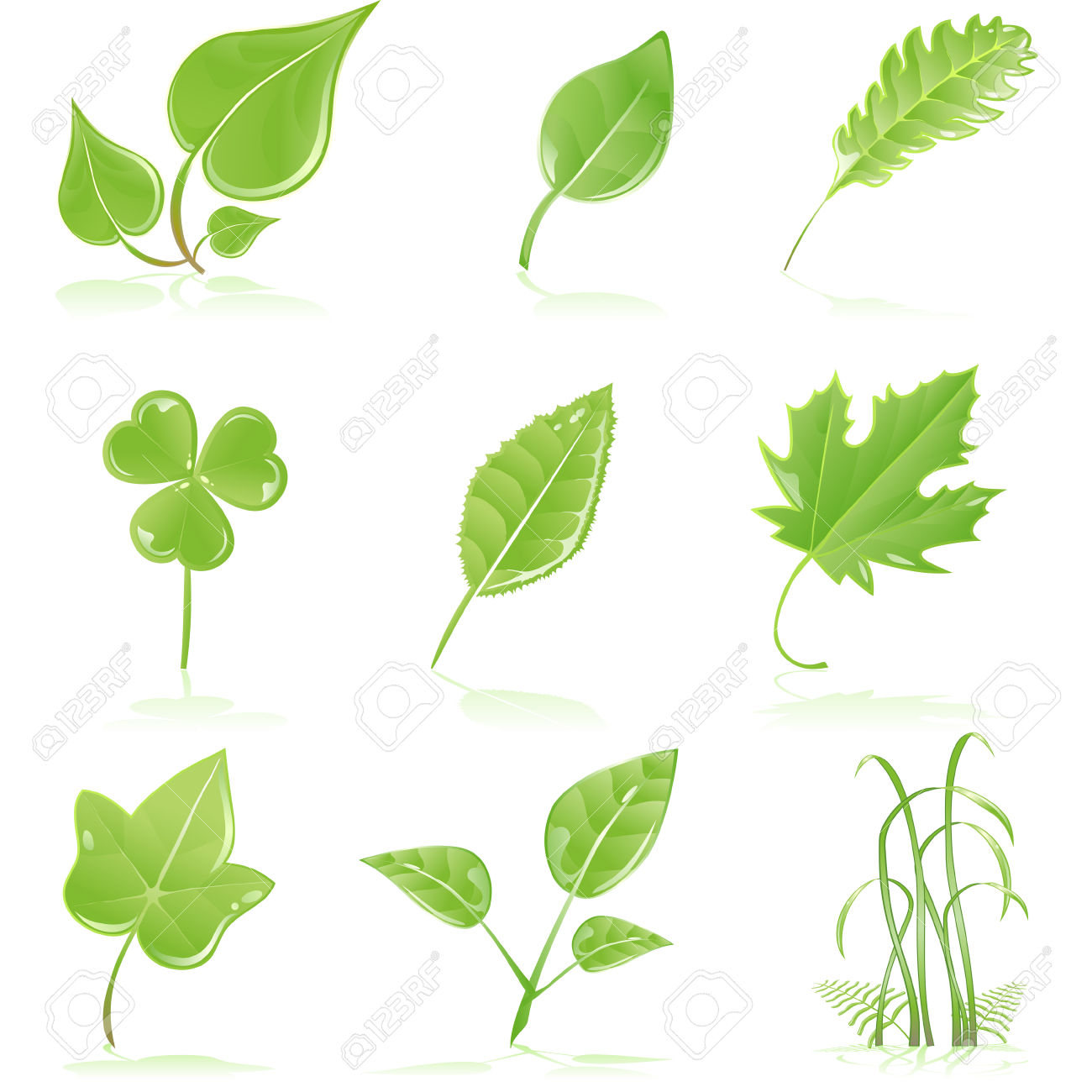 1300x1300 Leaves Of Grass Clipart