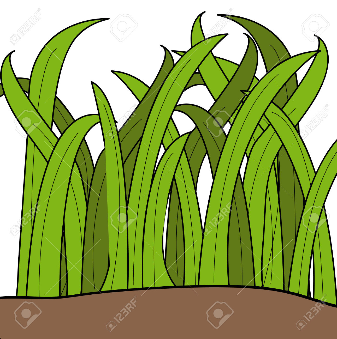 1291x1300 Tall Grass Clipart