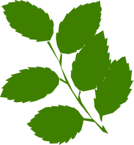 276x299 Green Leaves Clip Art