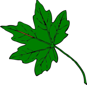 298x291 Green Maple Leaf Clip Art