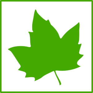 300x300 Leaf Clipart Green Leaf