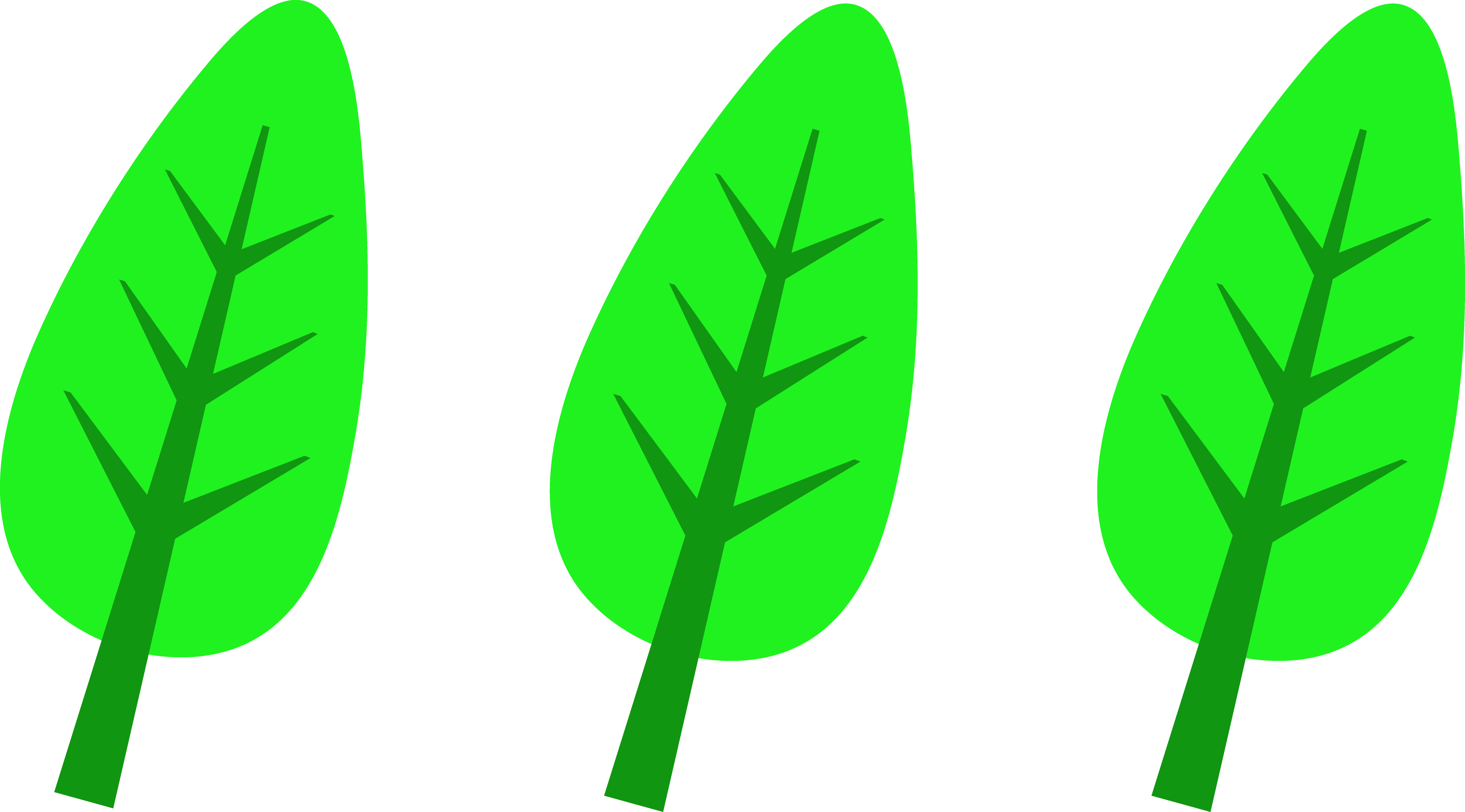 4260x2362 Three Green Leaves Logo