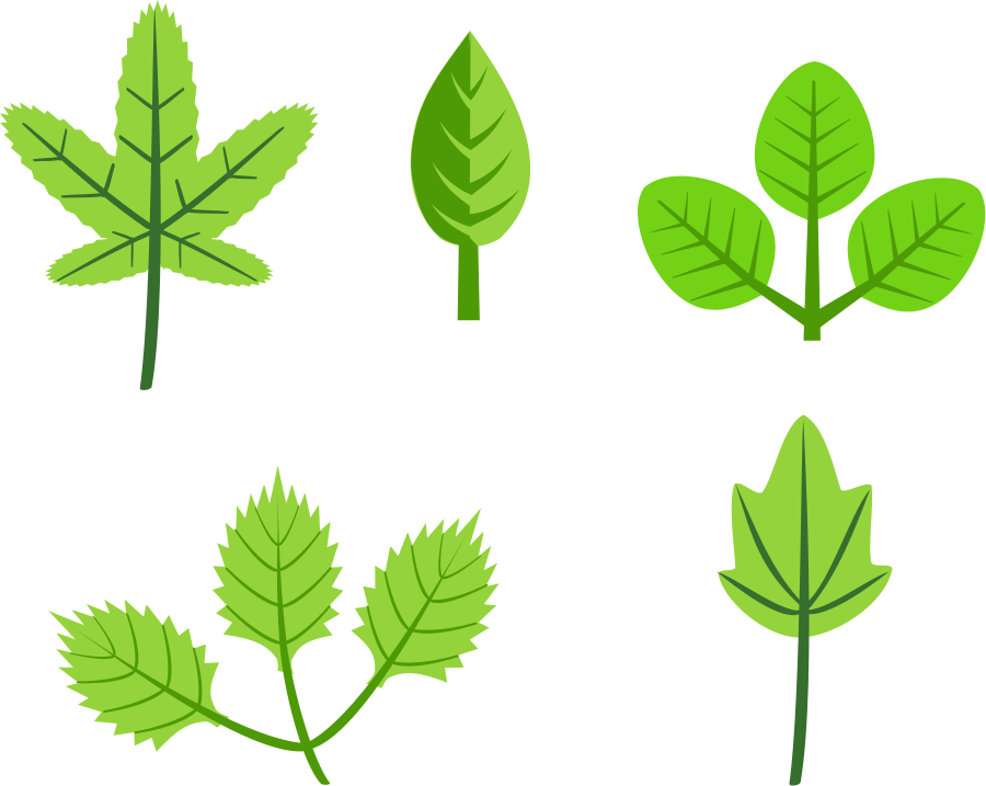 900x717 Leaf Green Leaves Clip Art Vector Free