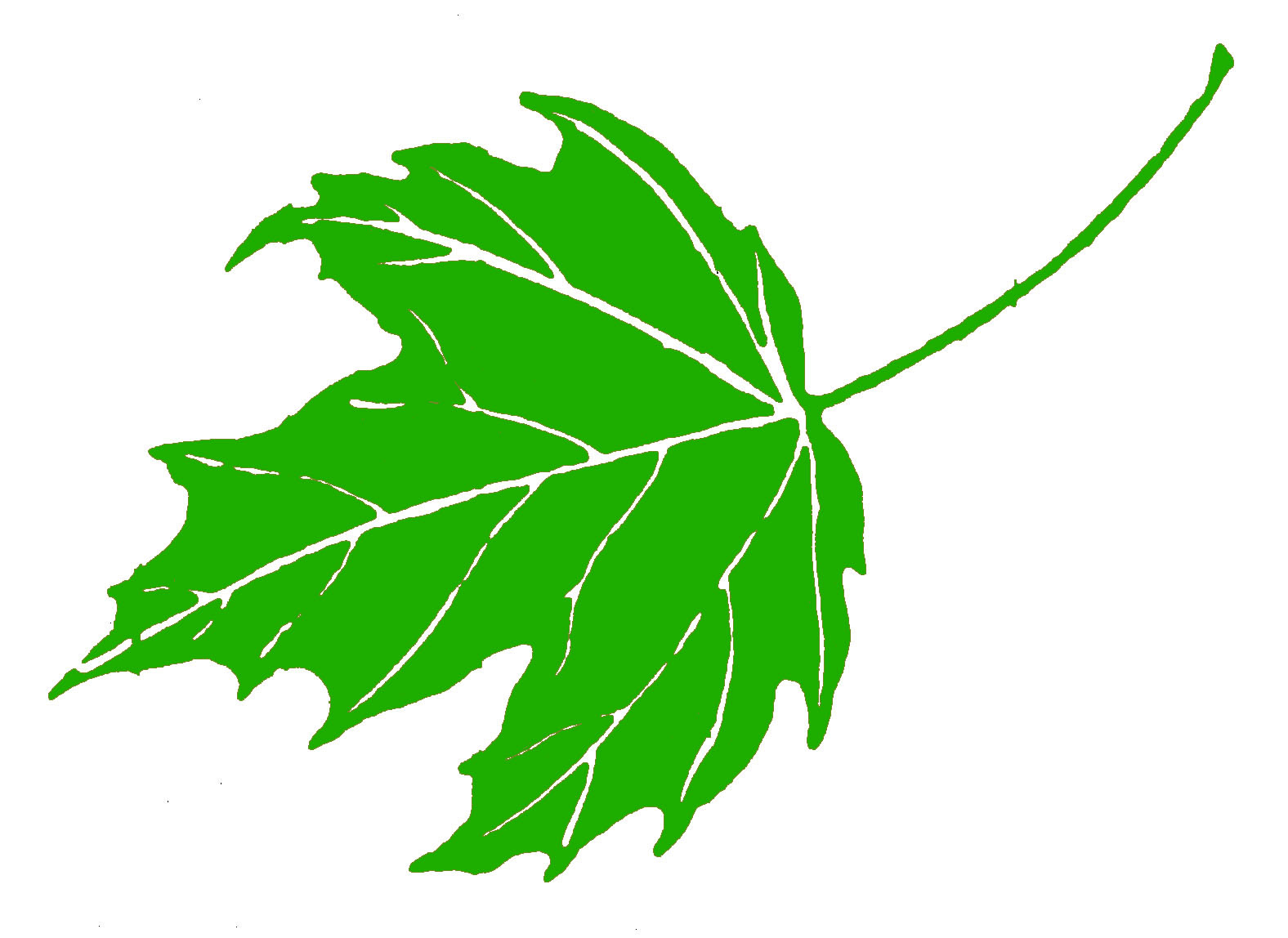 1576x1148 Maple Leaf Pic Clipart