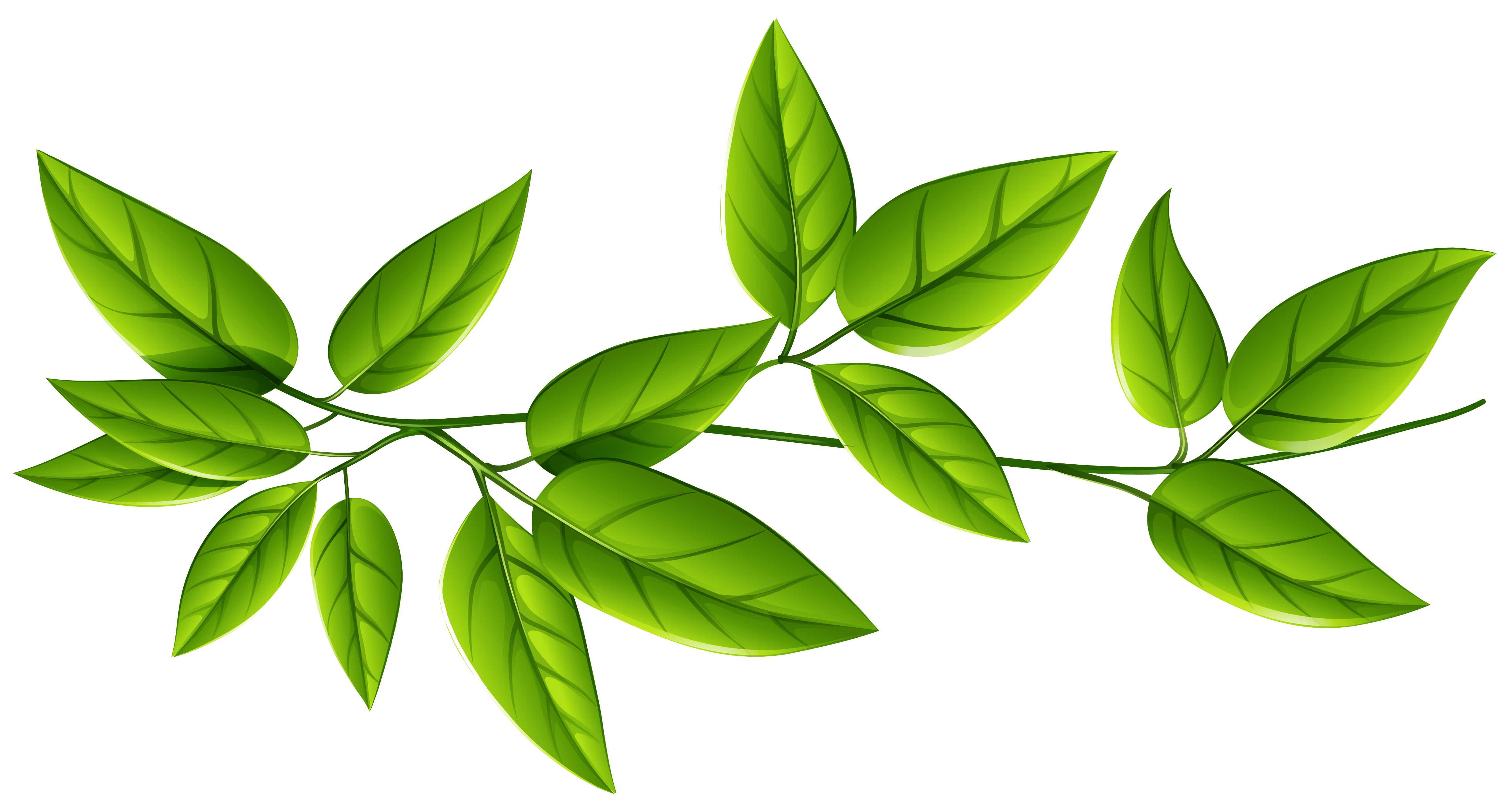 5164x2760 Green Leaves Png Imageu200b Gallery Yopriceville