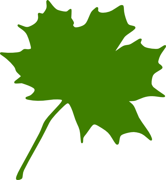 552x597 Green Maple Leaf Clip Art