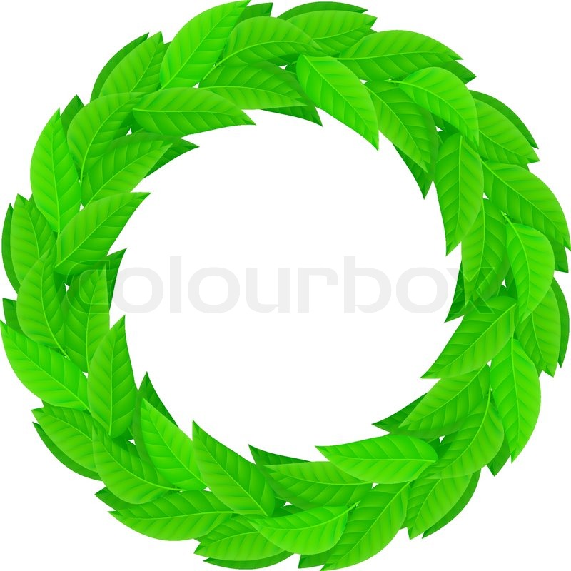 800x800 A Wreath Of Green Leaves Illustration On White Background Stock
