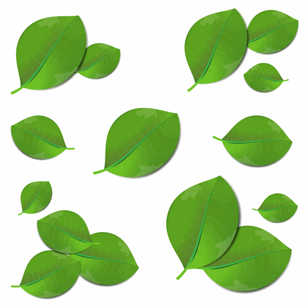 600x600 Realistic Green Leaves Vector Illustration