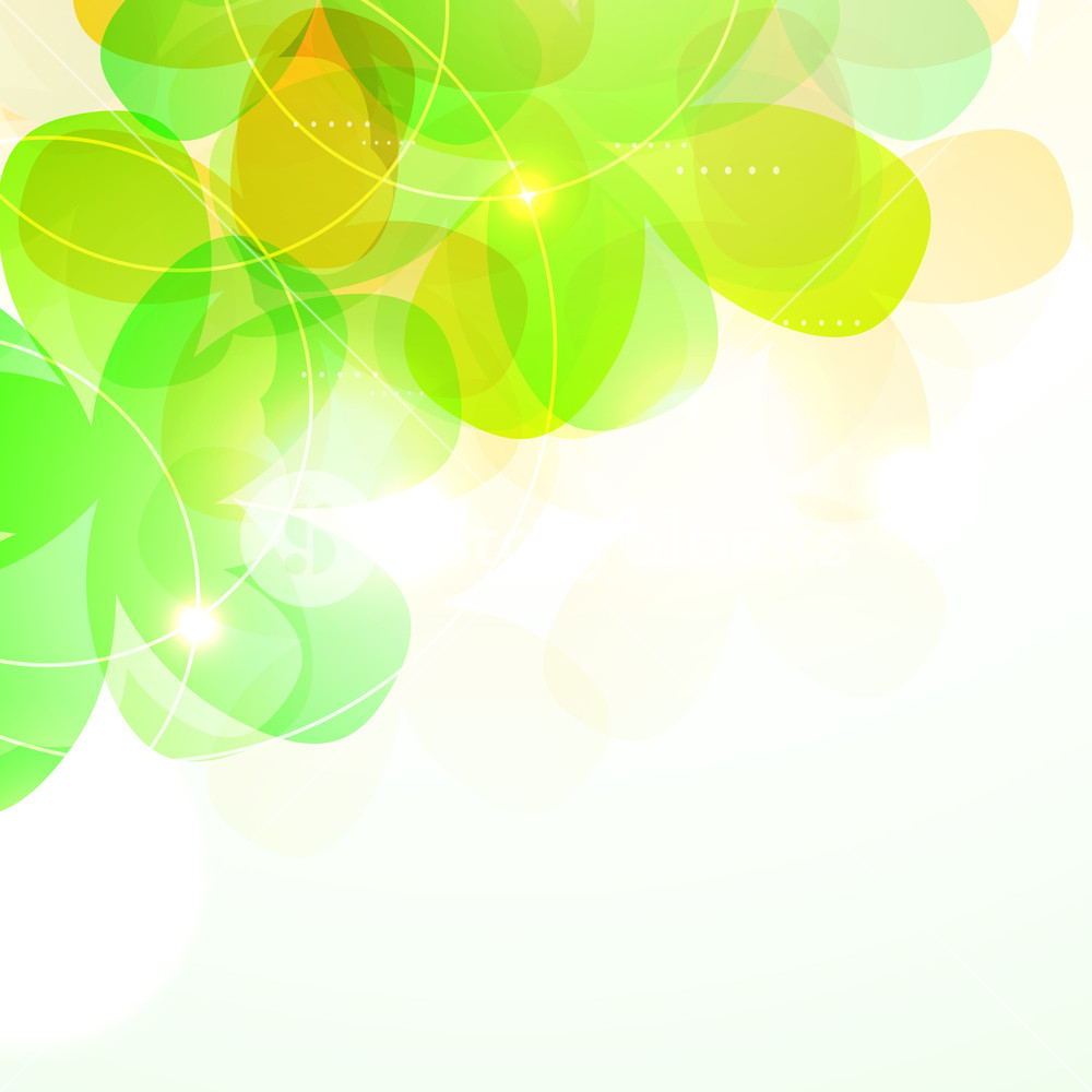 1000x1000 Abstract Nature Background With Eco Green Leaves Royalty Free