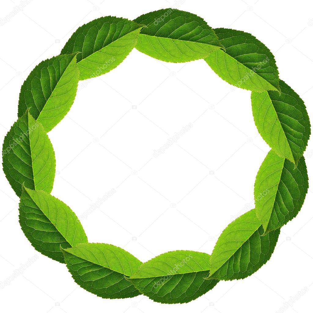 1024x1024 Circle Frame Of Green Leaves Stock Photo Jekaterina.k