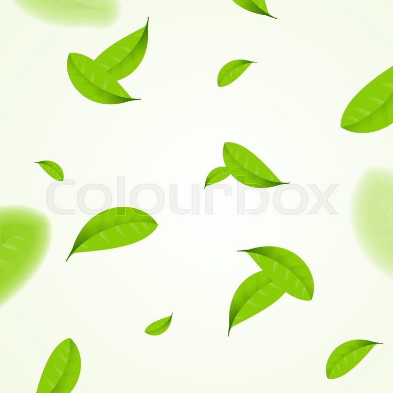 800x800 Realistic Fly Green Leaves Pattern Background On A White Organic