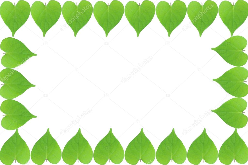 1024x680 Green Leaves Frame With White Background Stock Photo