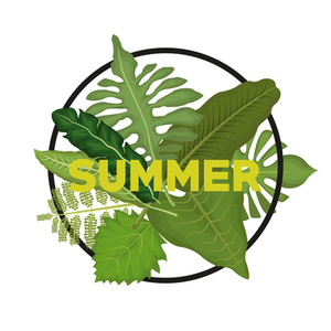 300x300 Frame Of Green Leaves On White Background Royalty Free Stock Image