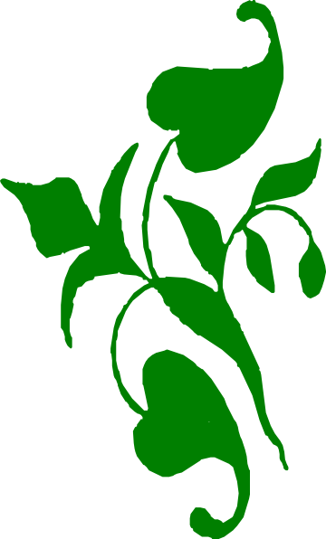 360x596 Green Vine Cliparts