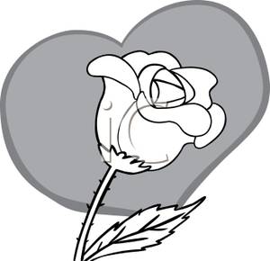 300x290 Image A Black And White Rose With A Gray Heart