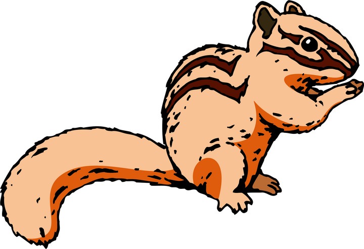 720x493 Cute Squirrel Eating Acorn Clipart
