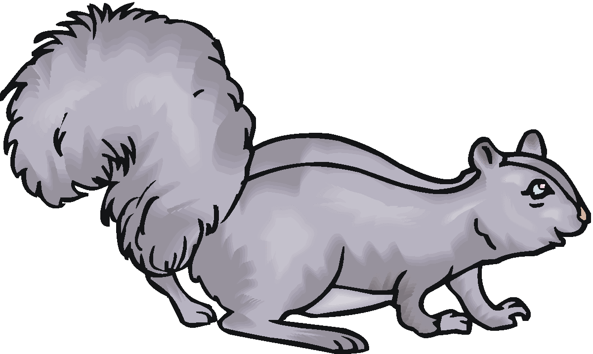 1200x717 Gray Squirrel Clipart