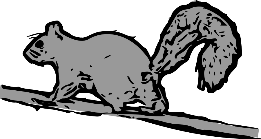 900x480 Gray Squirrel Clipart Funny