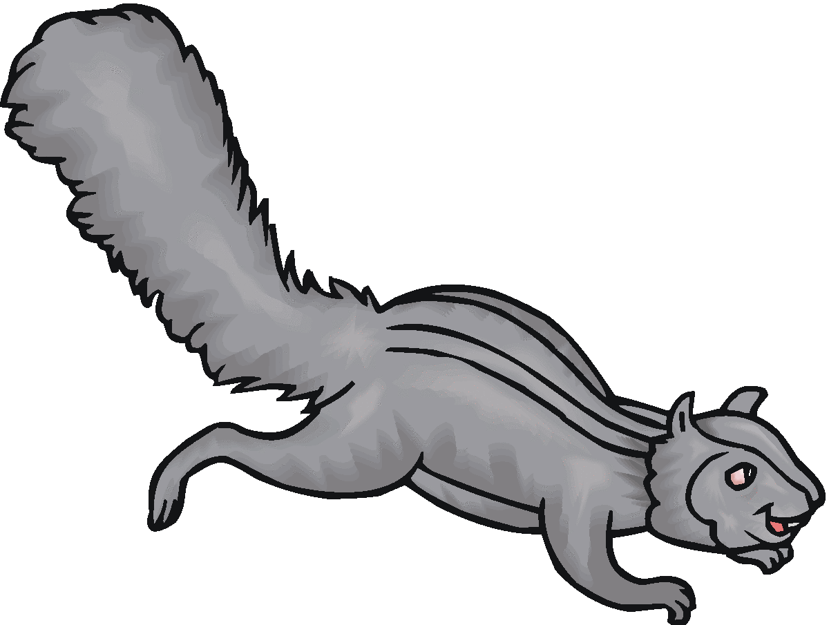 1200x905 Squirrel Clipart Gray Squirrel