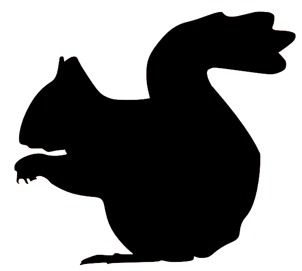 600x537 Black Squirrel Clipart