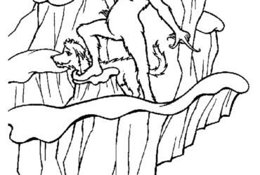 370x250 February 2017