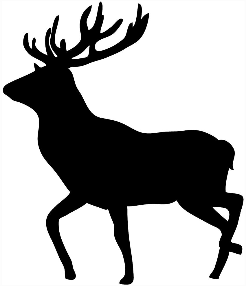 850x989 Best Hd Grizzly Bear Silhouette Vector Animal Deer Cdr