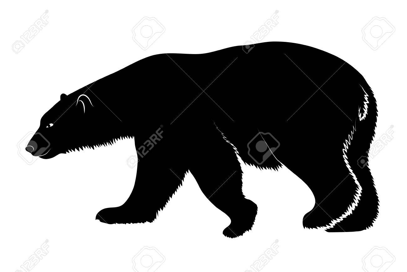 1300x870 Polar Bear On A White Background Royalty Free Cliparts, Vectors