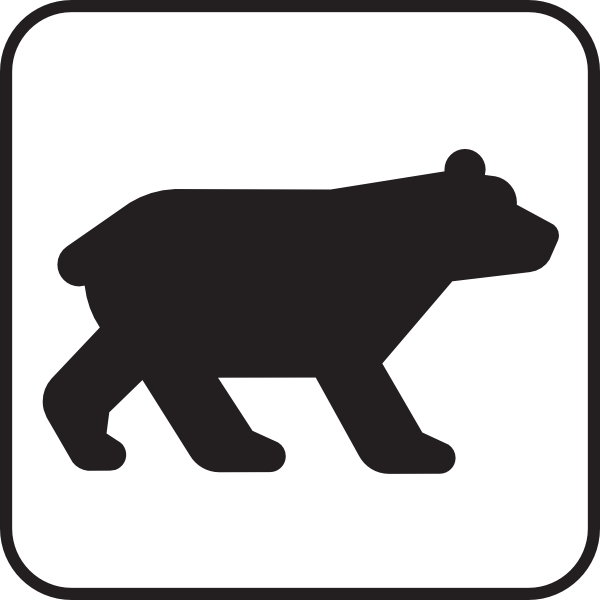 600x600 Bear Viewing White Clip Art