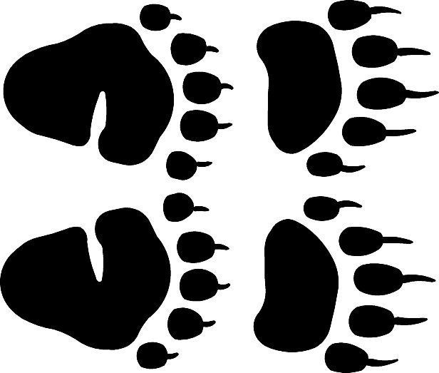616x523 Black Bear Clipart Footprint